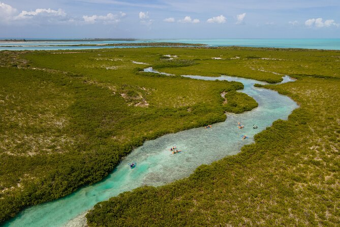 2 Hours Clear Kayaking Activity on Mangrove Cay - What the two-hour route feels like