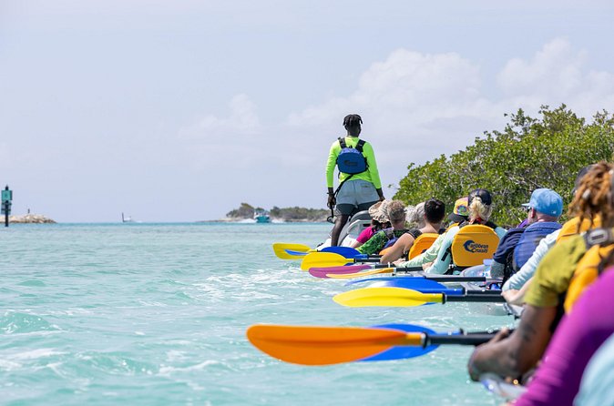 2 Hours Clear Kayaking Activity on Mangrove Cay - Group size, helpers, and the pace of the outing