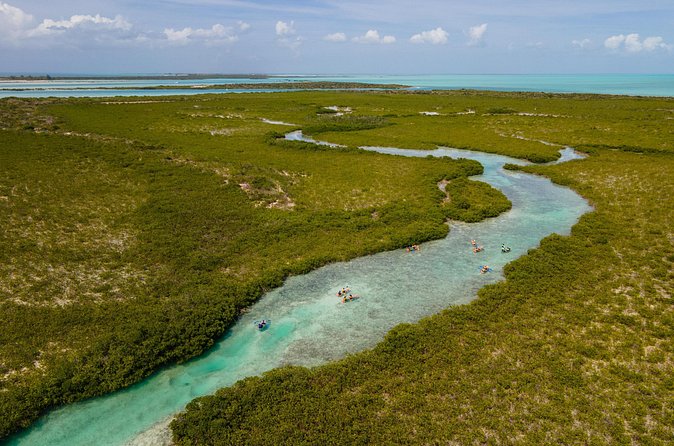 2 Hours Clear Kayaking Activity on Mangrove Cay - Kayak comfort and water conditions