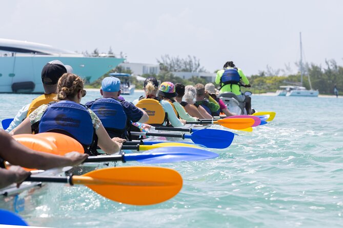 2 Hours Clear Kayaking Activity on Mangrove Cay - Meeting point, pickup, and planning details