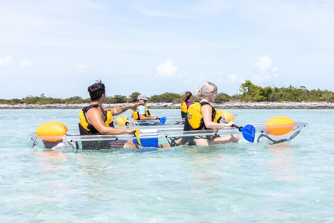 2 Hours Clear Kayaking Activity on Mangrove Cay - Marine life from a clear kayak