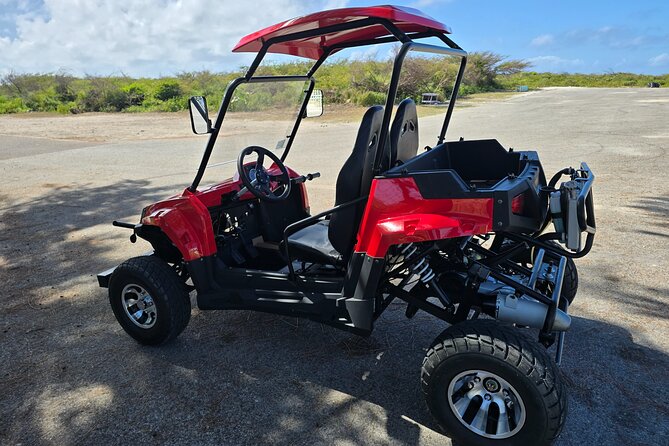 2 Seater Side by Side Guided Adventure Tour in Grand Turk - What the guide adds beyond the driving