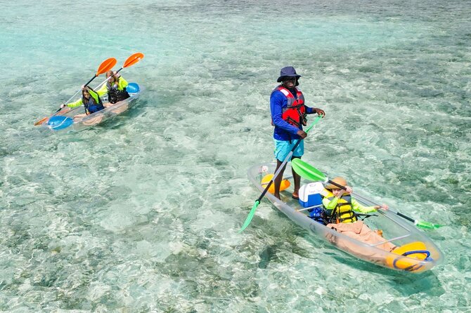 3HR Clear Kayak Mangrove and iguana island Tour in Leeward - Paddling through Mangrove Cay