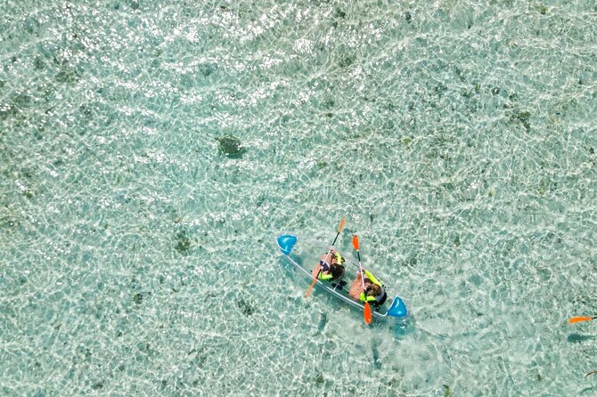 3HR Clear Kayak Mangrove and iguana island Tour in Leeward - Little Water Cay and the rock iguanas