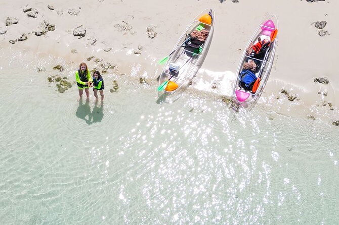 3HR Clear Kayak Mangrove and iguana island Tour in Leeward - Why the tide can change the entire trip