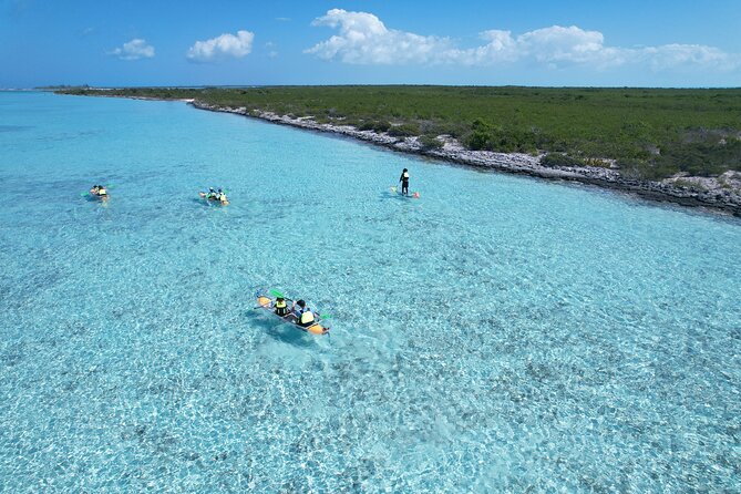 3hr Clear Kayak Tour of Mangroves, Marine Life and Iguanas - Starting at Noah’s Ark Shuttle Dock