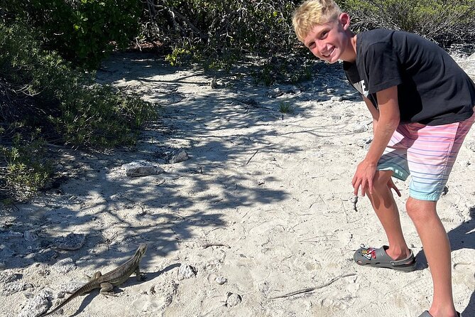 3hr Clear Kayak Tour of Mangroves, Marine Life and Iguanas - What you can see beneath a clear kayak