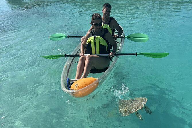 3hr Clear Kayak Tour of Mangroves, Marine Life and Iguanas - The guide makes the wildlife easier to find