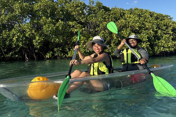 3hr Clear Kayak Tour of Mangroves, Marine Life and Iguanas - Who will enjoy this tour most