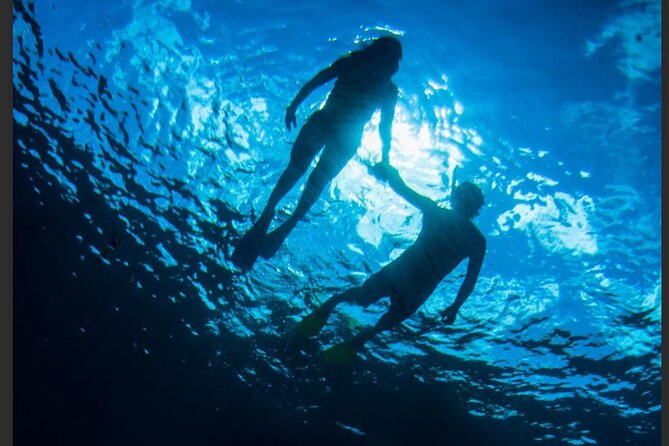 3HR Emerald reef snorkeling, iguana island and shipwreck tour - Emerald Reef sets the tone