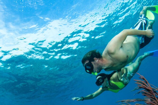 3HR Emerald reef snorkeling, iguana island and shipwreck tour - A boat ride with food, drinks, and a friendly crew