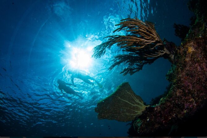 3HR Emerald reef snorkeling, iguana island and shipwreck tour - Who will enjoy this tour most