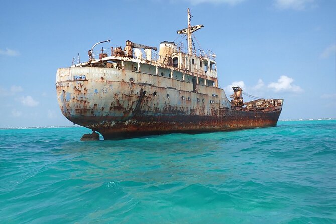 3HR Emerald reef snorkeling, iguana island and shipwreck tour - The La Famille Express wreck in seven feet of water