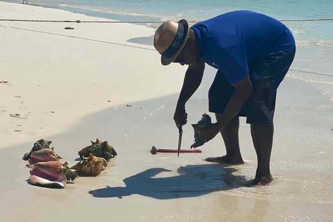 3hr Seaside Scavenger hunt - Key points to know before you go