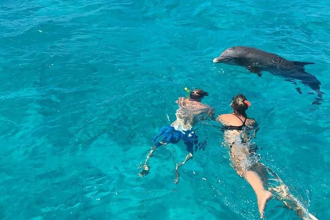 4-Hour Catamaran Sail and Snorkel Tour from Grace Bay - Reef snorkeling in warm, clear water