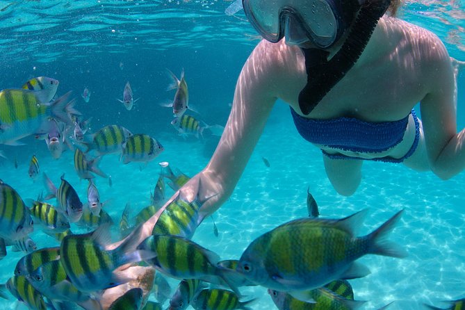 4-Hour Catamaran Sail and Snorkel Tour from Grace Bay - What the $145.84 price really covers