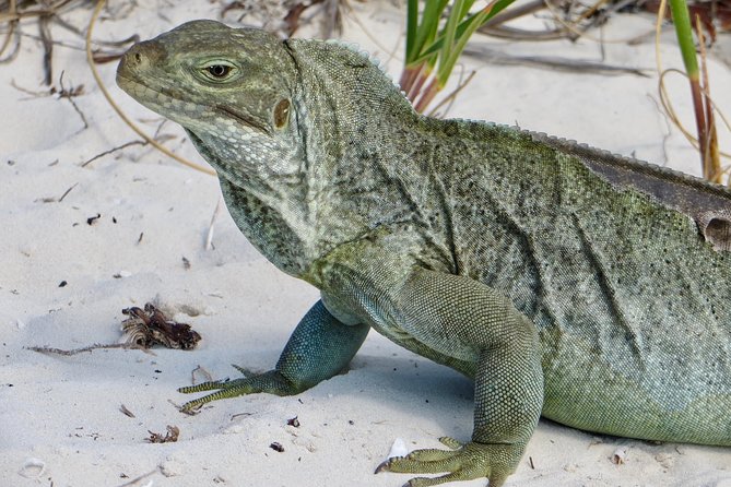 4-Hour Catamaran Sail and Snorkel Tour from Grace Bay - Sailing along Grace Bay