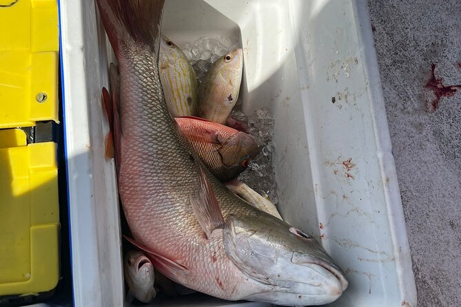 4HR-Halfday Private Fishing Tour in Gracebay - The important concern: mechanical reliability