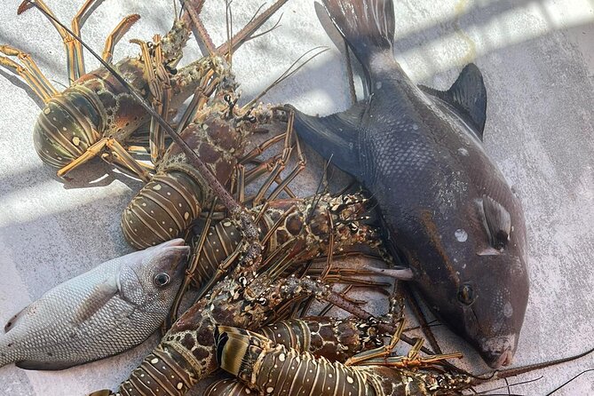 4HR-Halfday Private Fishing Tour in Gracebay - Weather rules and cancellation timing