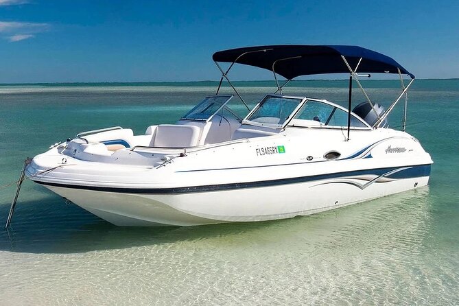 4HR Private bottom Fishing Charter with lunch - What the four hours can look like