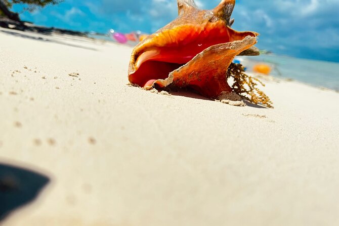 4HR Private Half-day Boat in Gracebay - Snorkeling at the reef