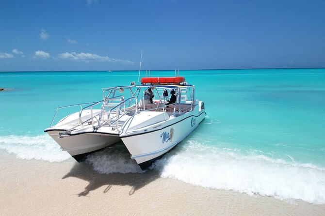 4HR Private Half-day Boat in Gracebay - Dolphins, stingrays, turtles, and shipwrecks