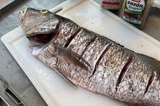 4HR-Private Half-Day Exploration in Gracebay - Conch hunting adds a hands-on local touch