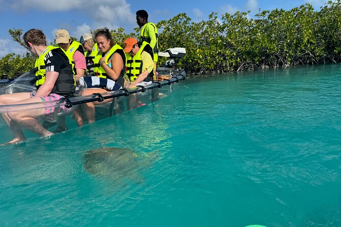 6-Passenger Motorized Clear Kayak Mangrove Tour in Providenciales - Through Mangrove Cay at a gentle pace