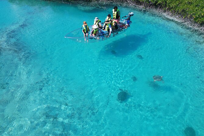 6-Passenger Motorized Clear Kayak Mangrove Tour in Providenciales - What the captain provides on the water