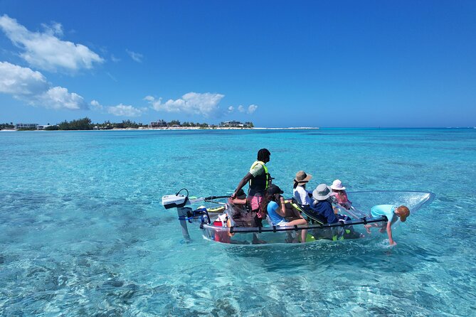 6-Passenger Motorized Clear Kayak Mangrove Tour in Providenciales - Pickup, meeting point, and timing details