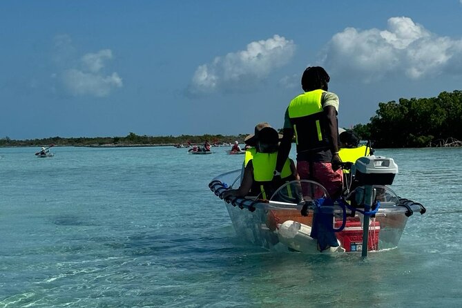 6-Passenger Motorized Clear Kayak Mangrove Tour in Providenciales - Is $482 good value for your group?