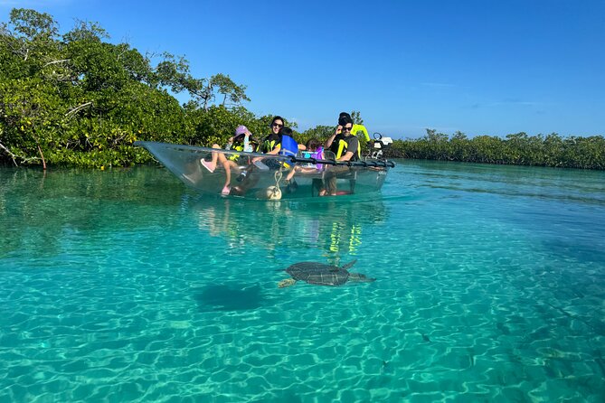 6-Passenger Motorized Clear Kayak Mangrove Tour in Providenciales - Who will enjoy this most