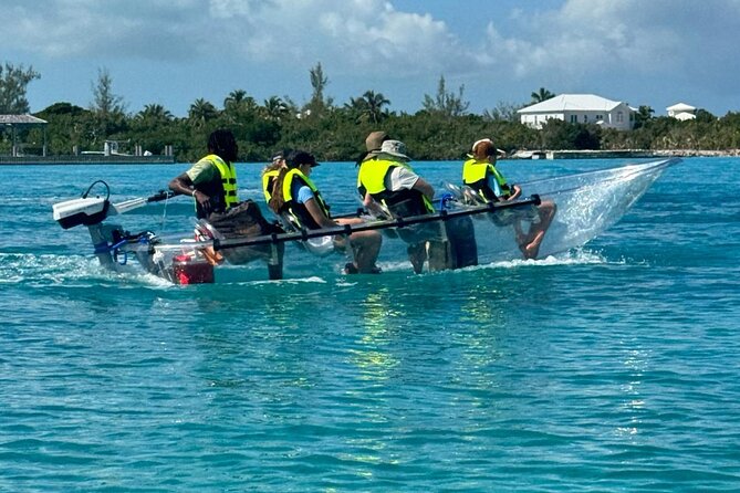 6-Passenger Motorized Clear Kayak Mangrove Tour in Providenciales - Wildlife to watch for below the boat