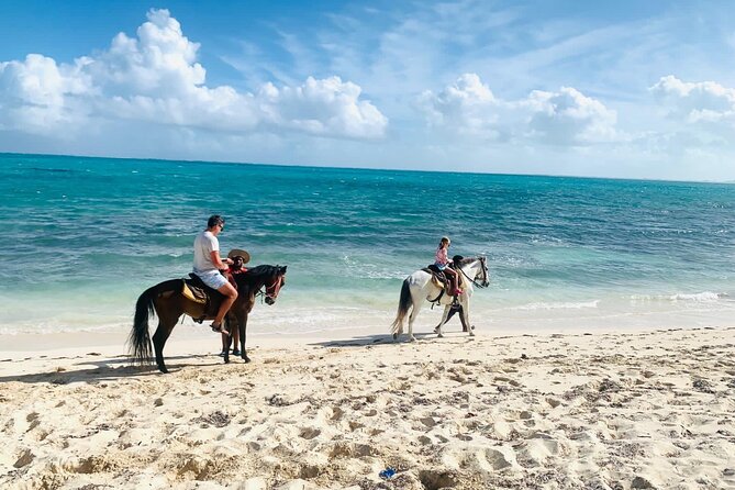 60-Minute Private Horseback Riding Experience in Turks and Caicos - Who will enjoy this private ride most