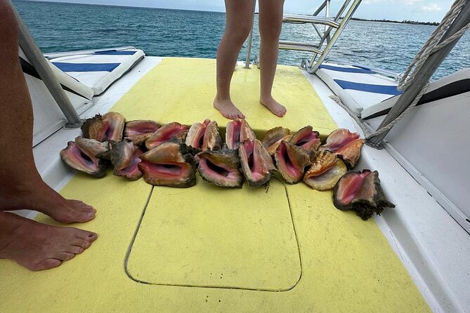 6HR-Provo Cays exploration with Lunch in Gracebay - A beach barbecue that earns its place