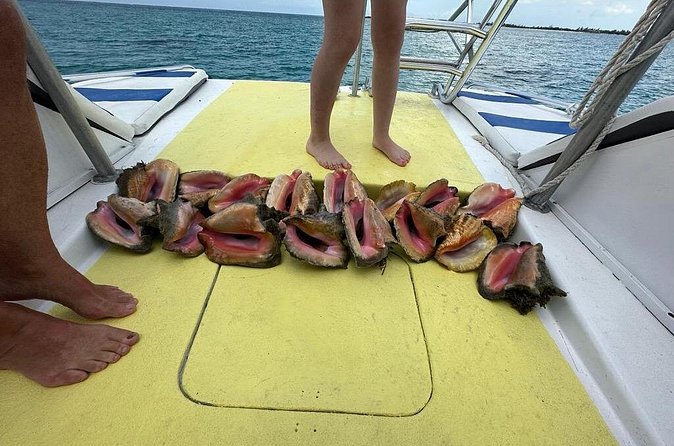 6HR-Provo Cays exploration with Lunch in Gracebay - Timing, meeting details, and what to bring