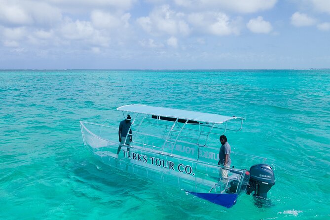 75 Minutes Clear Boat Tour in Caicos Island - Marine Life You Might See Below
