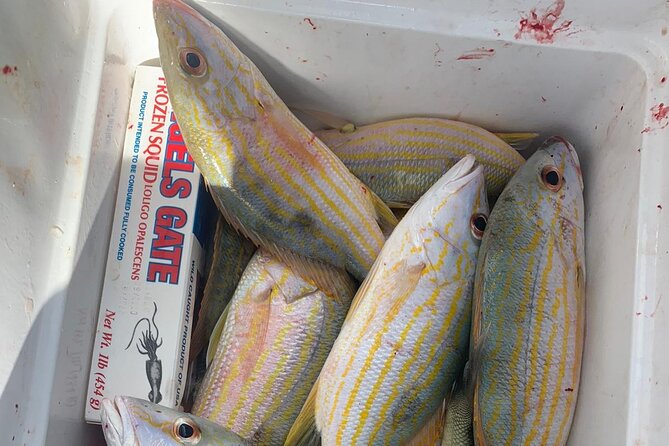 8HR Catch and Grill in Turks and Caicos Islands - A full day built around your own catch