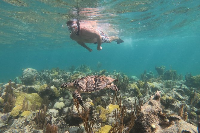 Afternoon Half Day Cruise from Providenciales with Snorkeling and Iguana Island - Boarding at Alexandra Resort and getting settled