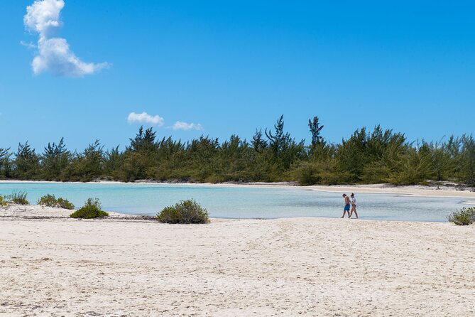 Afternoon Half Day Cruise from Providenciales with Snorkeling and Iguana Island - Crew style and the feel on board