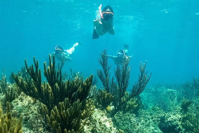 All Day Adventure with a Beach BBQ Feast from Providenciales - A BBQ lunch on an uninhabited island