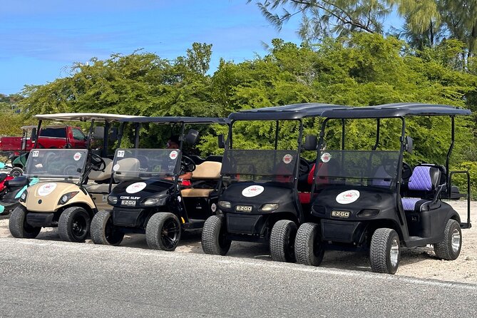 BMC Rentals -Golf Carts & Jeep Wrangler in Grand Turks - Who should book this rental?