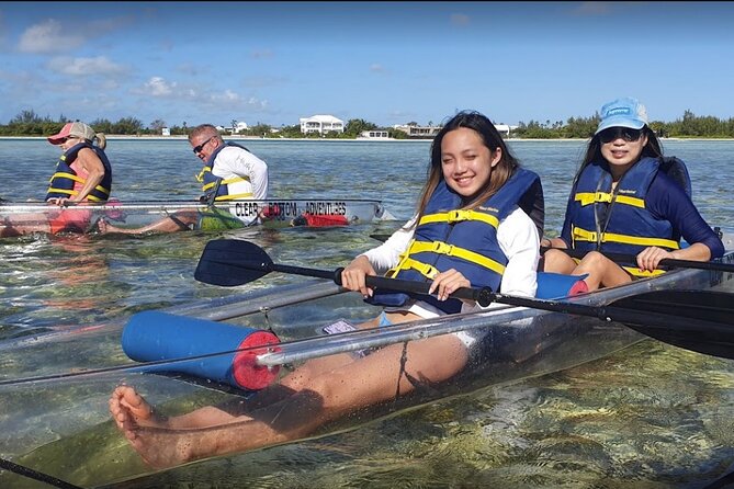 Clear Bottom Kayaks Mangrove and Iguana Tour - A beach stop with Turks and Caicos rock iguanas