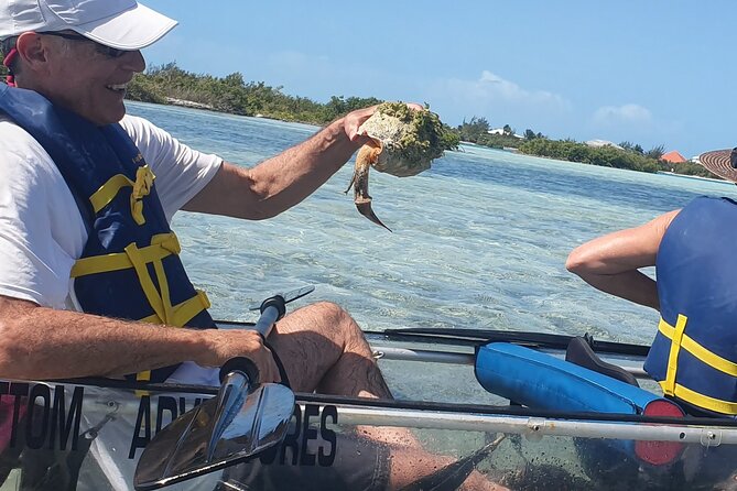 Clear Bottom Kayaks Mangrove Tour - The guides make the biggest difference