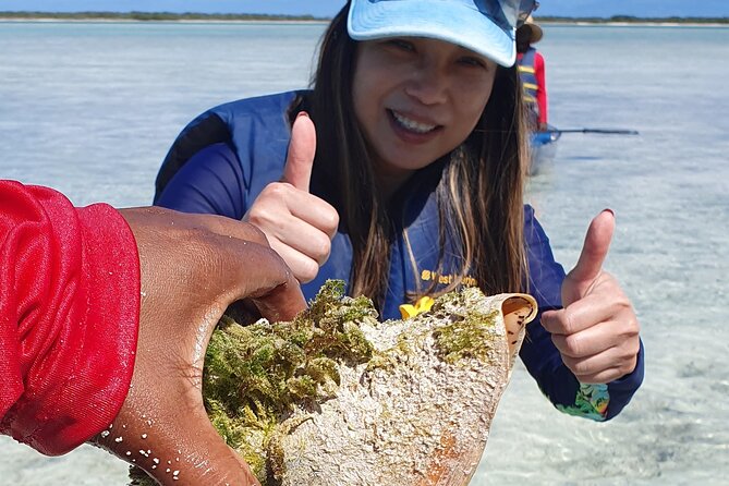 Clear Bottom Kayaks Mangrove Tour - Families, couples, and first-time kayakers