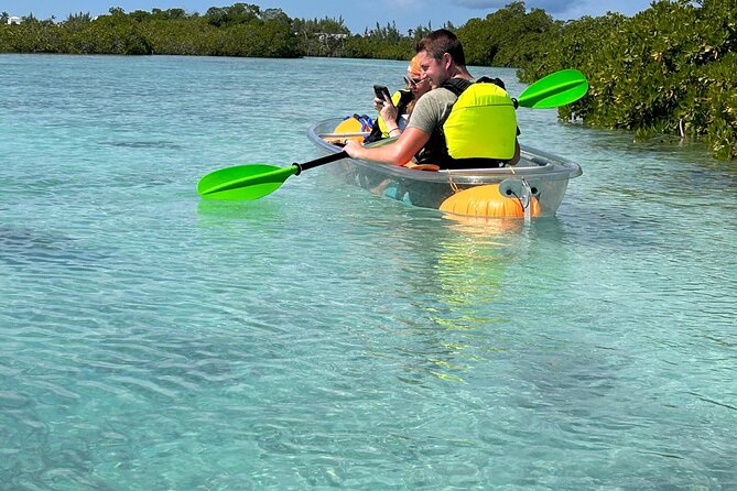 Clear Kayak Eco Tour Explore Mangroves and Meet the Turtles - How hard is the paddling?