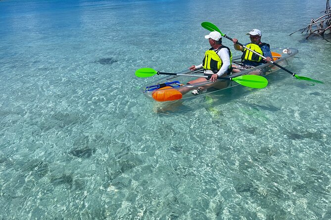 Clear Kayak Eco Tour Explore Mangroves and Meet the Turtles - Who should book this Mangrove Cay trip?