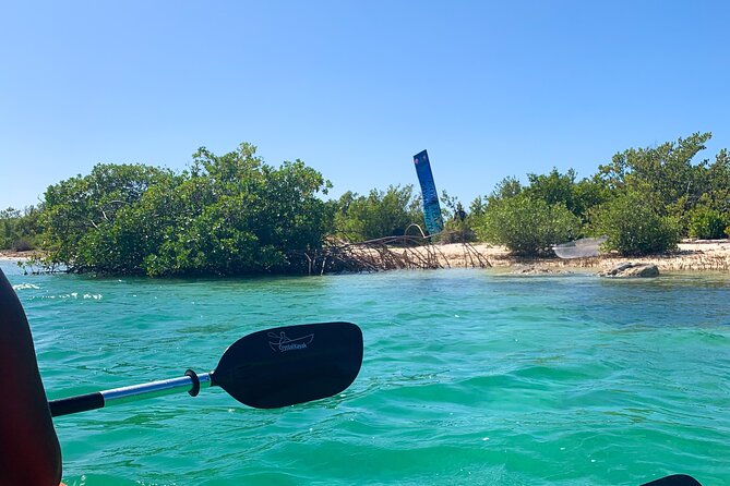 Clear kayak Grand Turk Island Kayak Tour of the mangroves - The Taino canoe detail and the creek’s human story