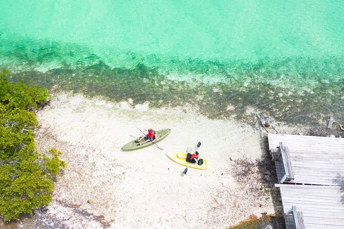 Clear kayak Grand Turk Island Kayak Tour of the mangroves - Timing your booking around a cruise day