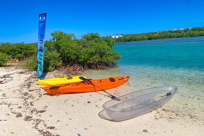 Clear kayak Grand Turk Island Kayak Tour of the mangroves - Who will enjoy this Grand Turk kayak trip?